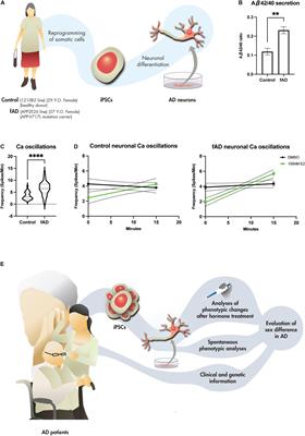 Utilization of Human Induced Pluripotent Stem Cells-Derived In vitro Models for the Future Study of Sex Differences in Alzheimer’s Disease